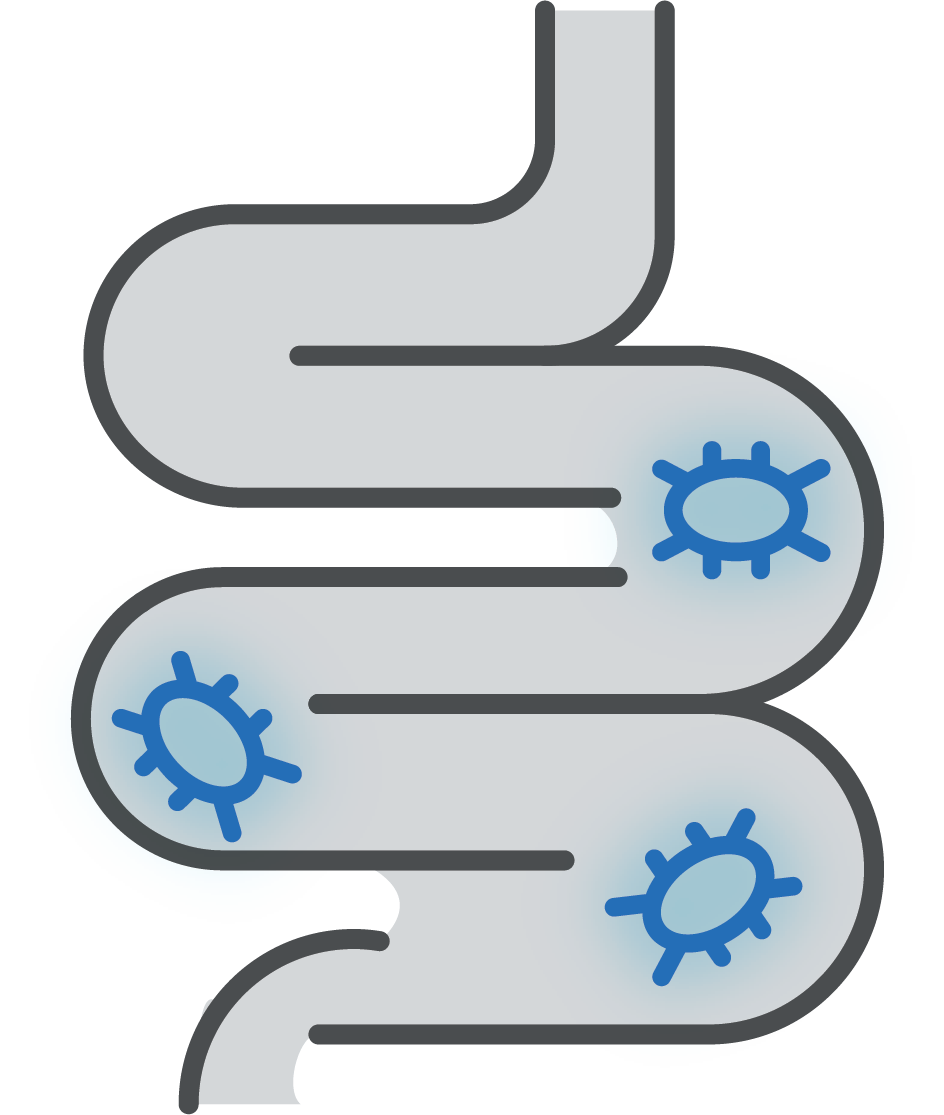Small Intestinal Bacterial Overgrowth (SIBO)