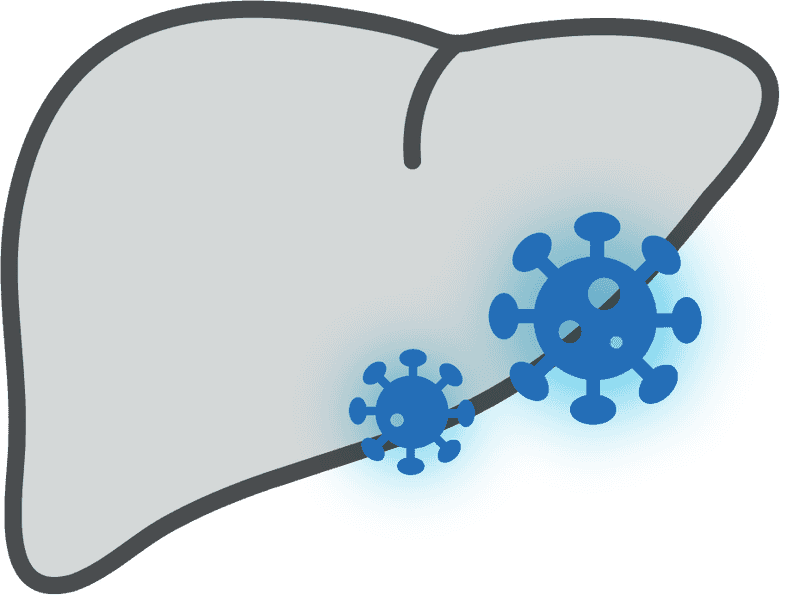 Viral Hepatitis
