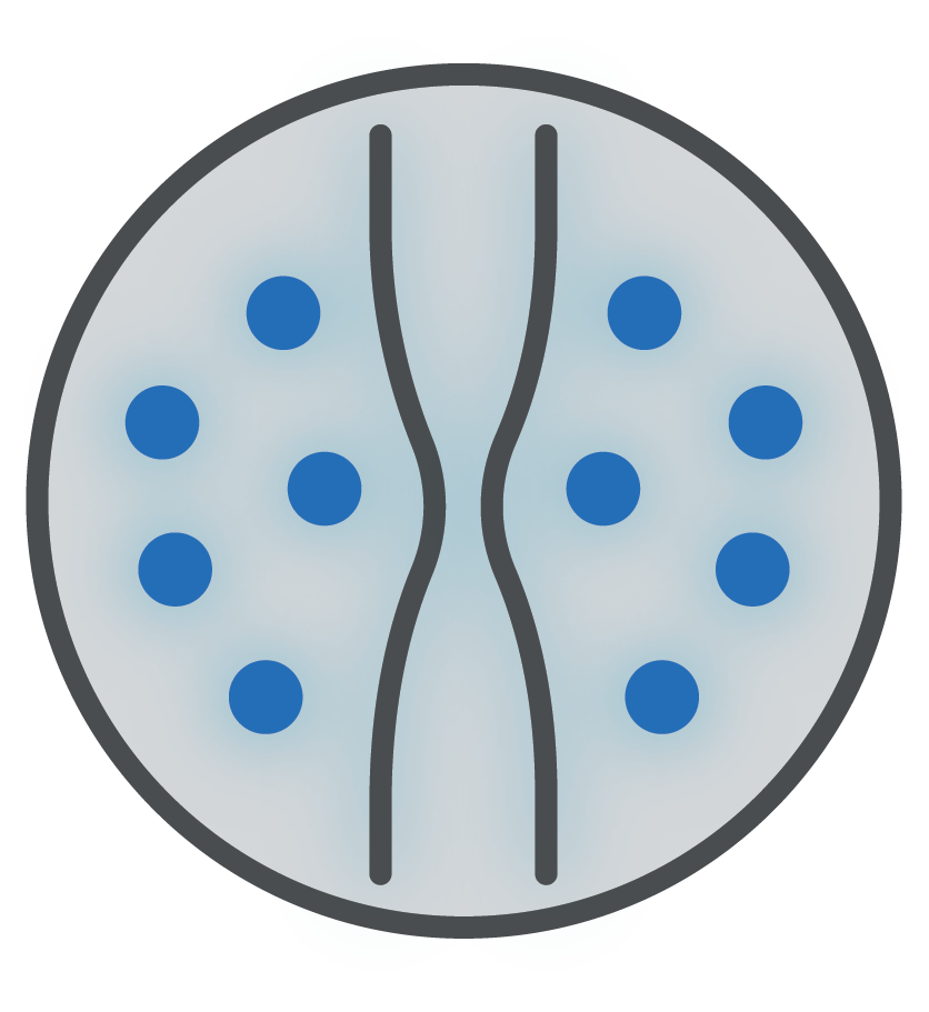Eosinophilic Esophagitis (EoE)