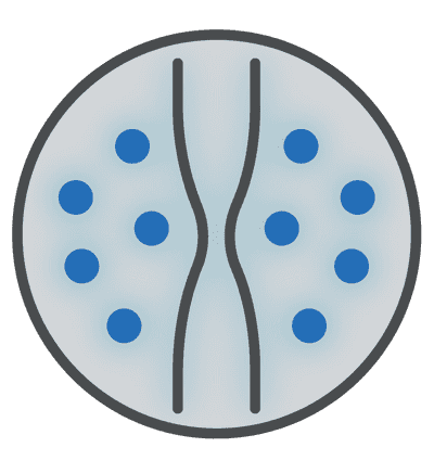 Eosinophilic Esophagitis (EoE)