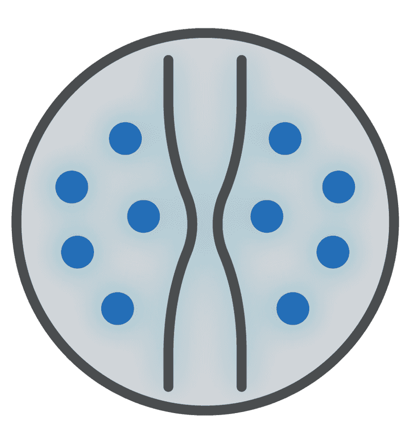 Eosinophilic Esophagitis (EoE)