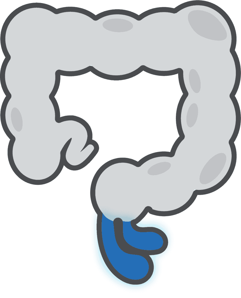 Rectal Prolapse